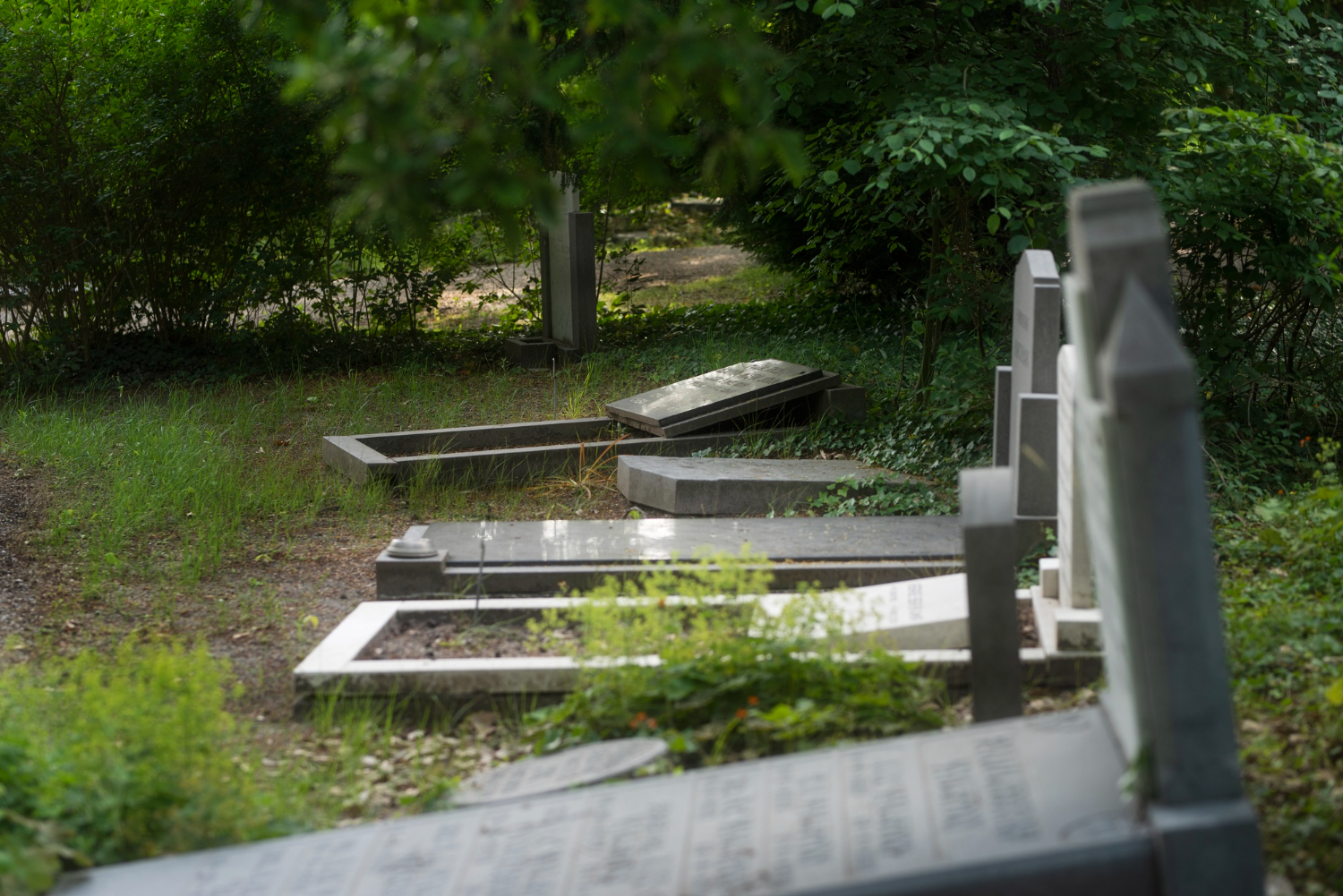 Come si sceglie il cimitero? Come si sceglie il cimitero?